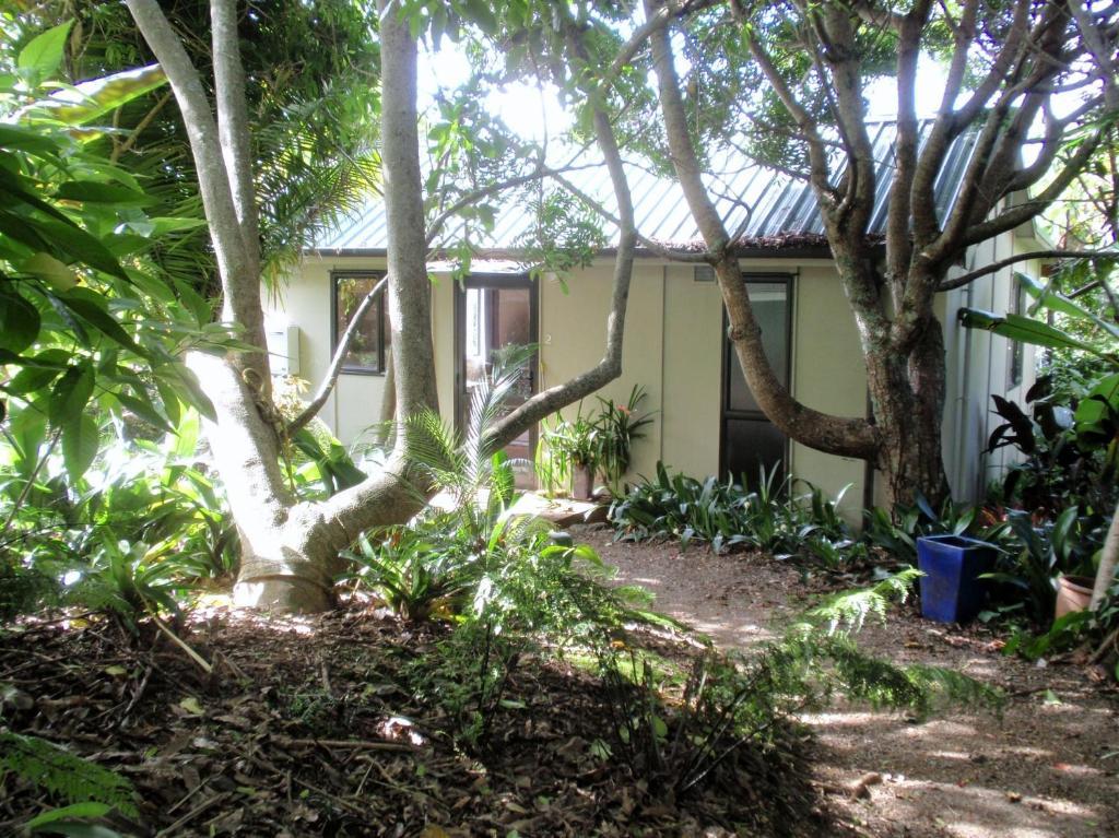Wharepuke Subtropical Accommodation Kerikeri Zimmer foto