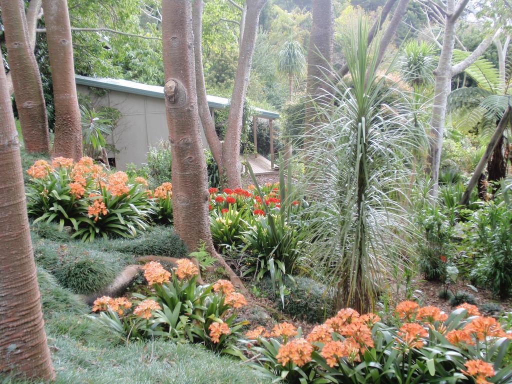 Wharepuke Subtropical Accommodation Kerikeri Exterior foto