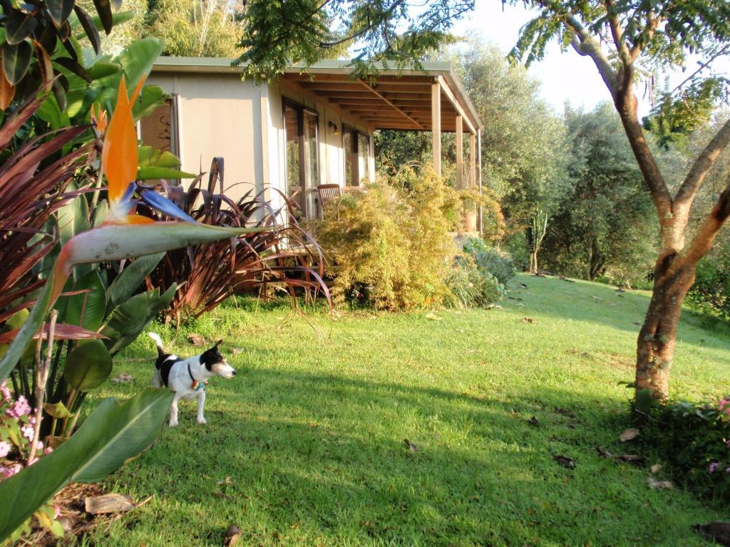 Wharepuke Subtropical Accommodation Kerikeri Zimmer foto