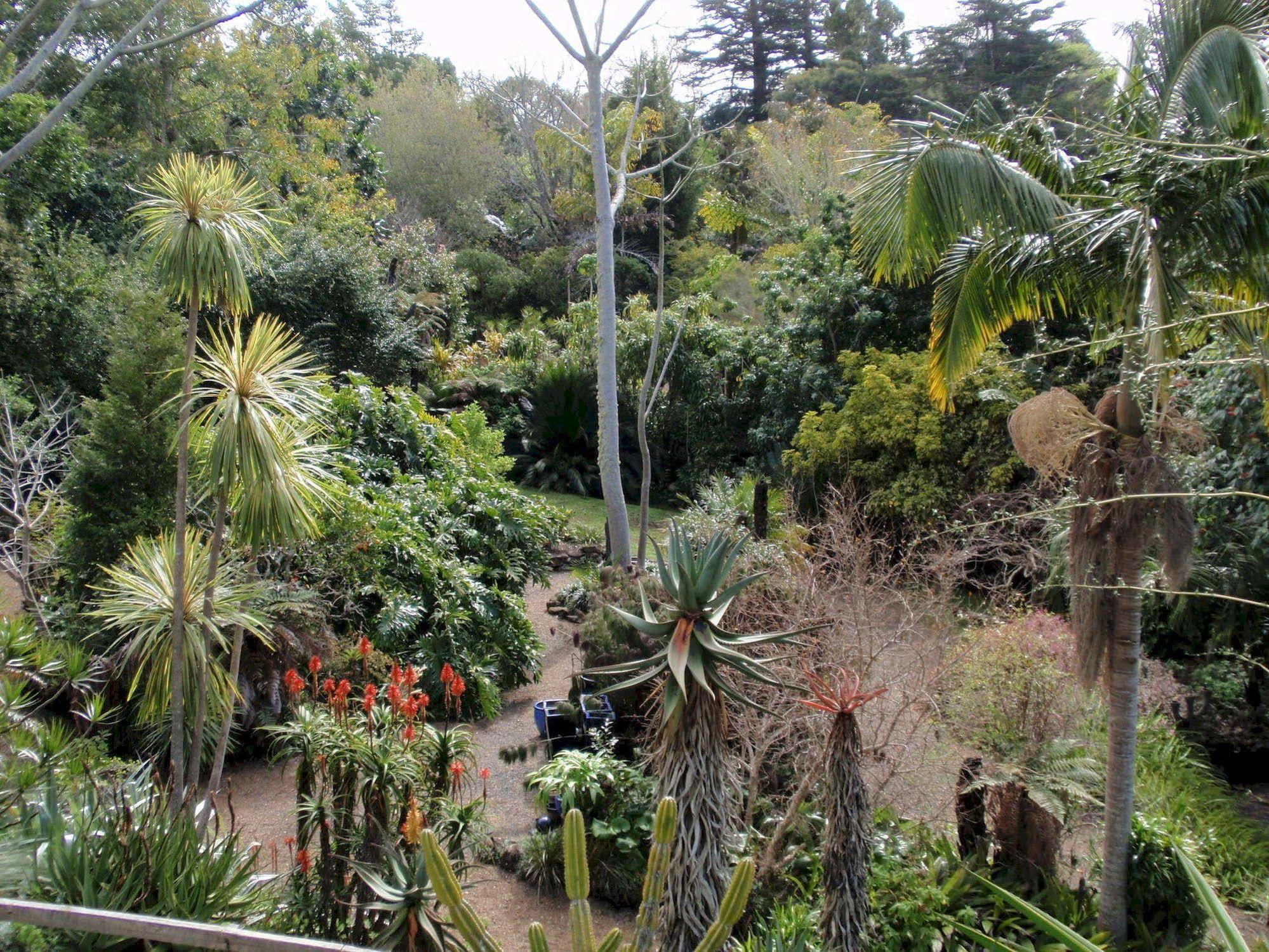 Wharepuke Subtropical Accommodation Kerikeri Exterior foto