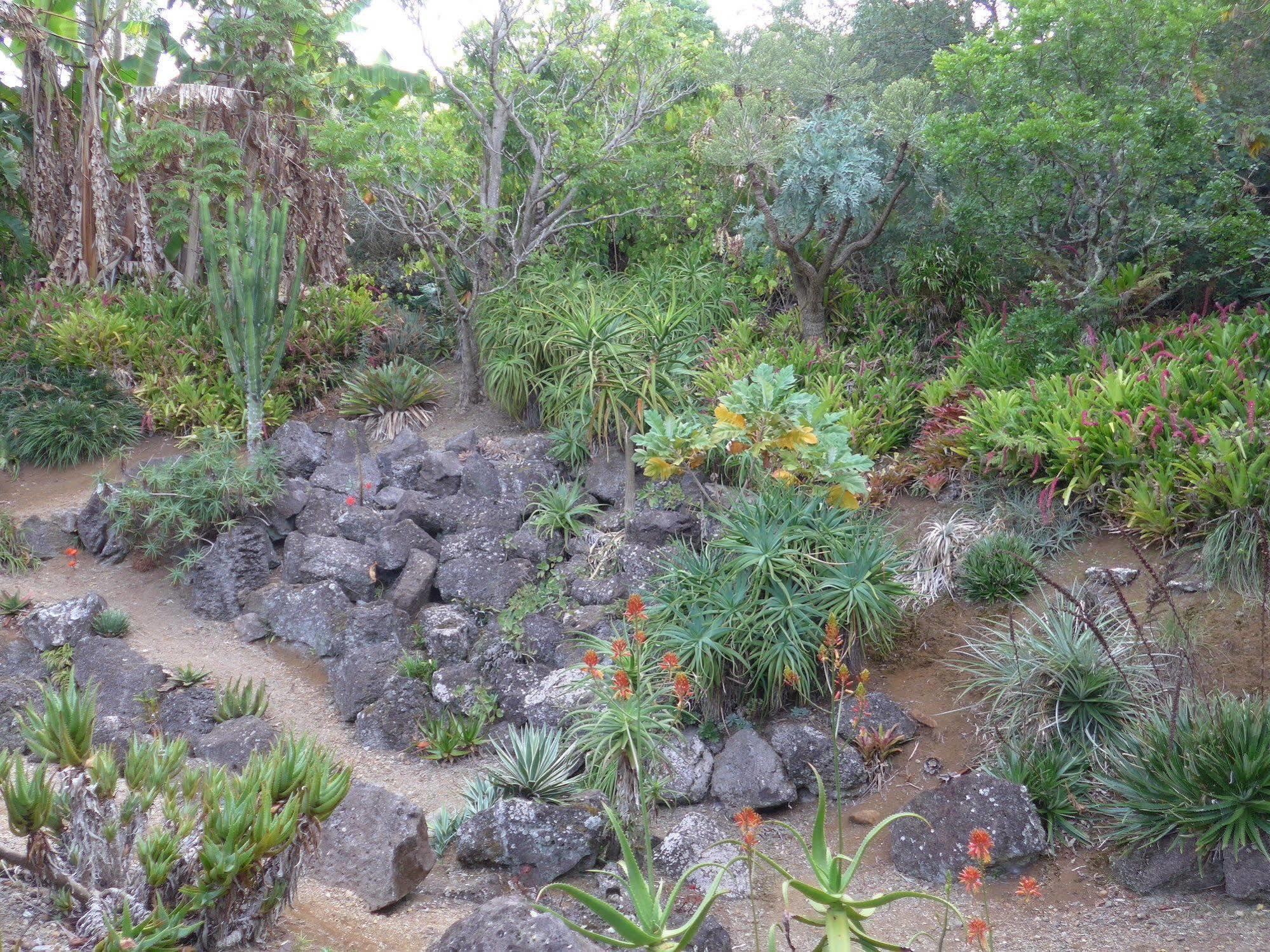 Wharepuke Subtropical Accommodation Kerikeri Exterior foto