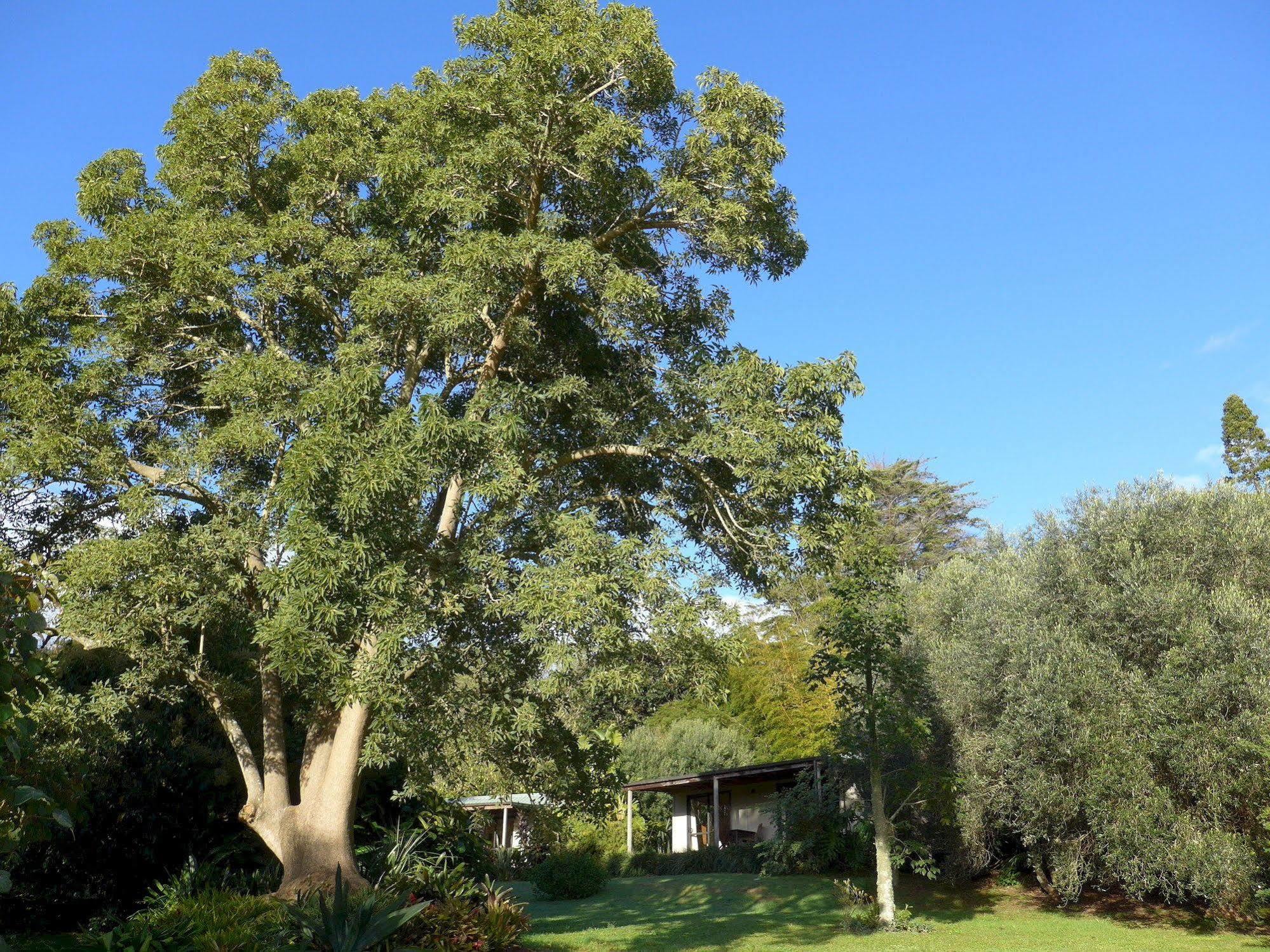 Wharepuke Subtropical Accommodation Kerikeri Exterior foto