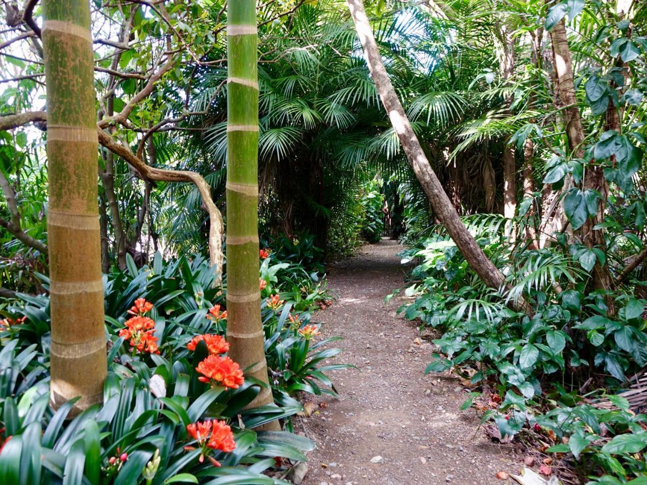 Wharepuke Subtropical Accommodation Kerikeri Exterior foto